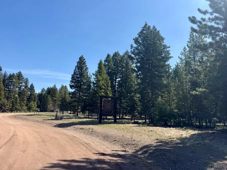 134 Nordic Way, Seeley Lake, MT 59868 - #3