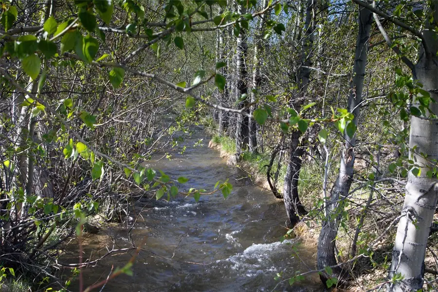 Lot 4 Bannock Circle, Red Lodge, MT 59068 - #2