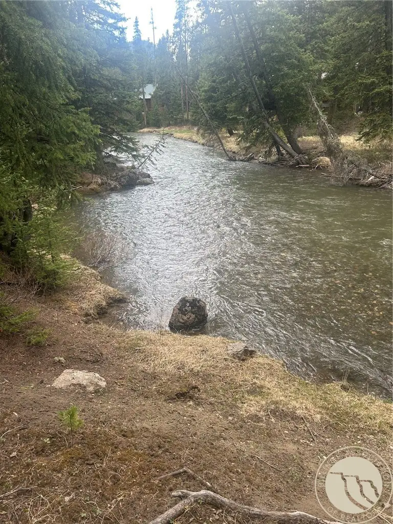 7 Grizzly Bear Road, Cooke City, MT 59081 - #2