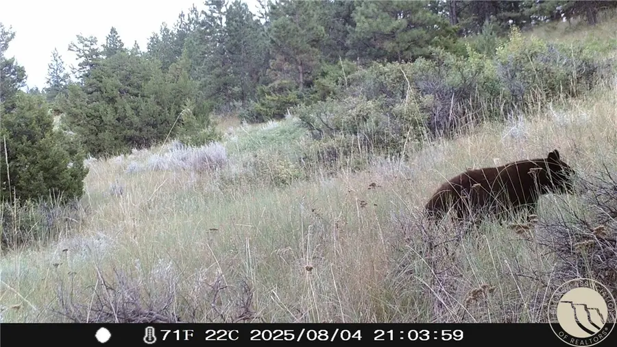 Lot 69 Jacobs Hill Rd., Reed Point, MT 59069 - #3