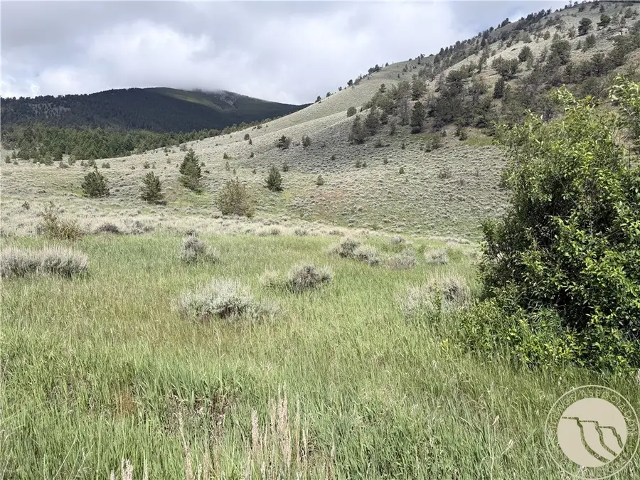 TR 3 S Us Highway 212, Red Lodge, MT 59068 - #3