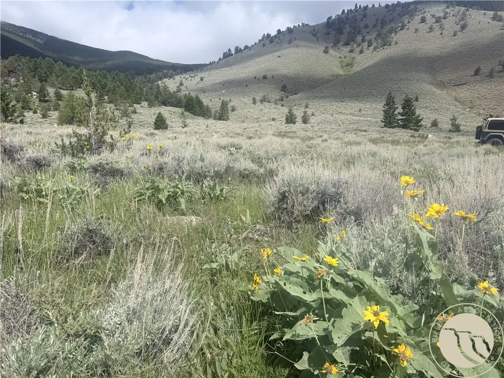 TR 5 S Us Highway 212, Red Lodge, MT 59068 - #1