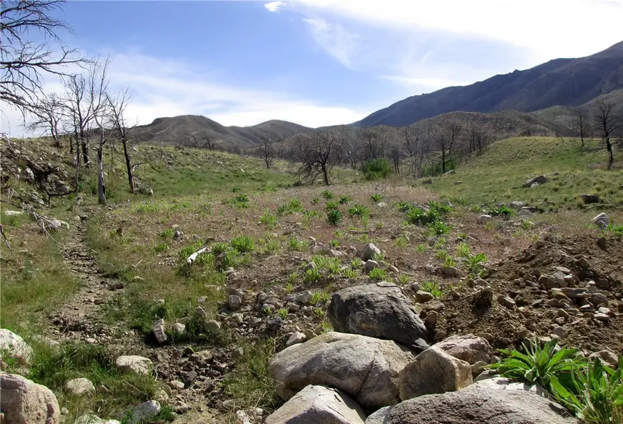 nhn Ranger Way, Belfry, MT 59008 - #3