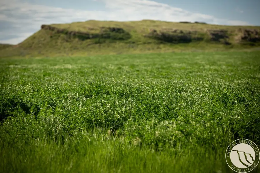 289 Hailstone Basin Road, Rapelje, MT 59067 - #2