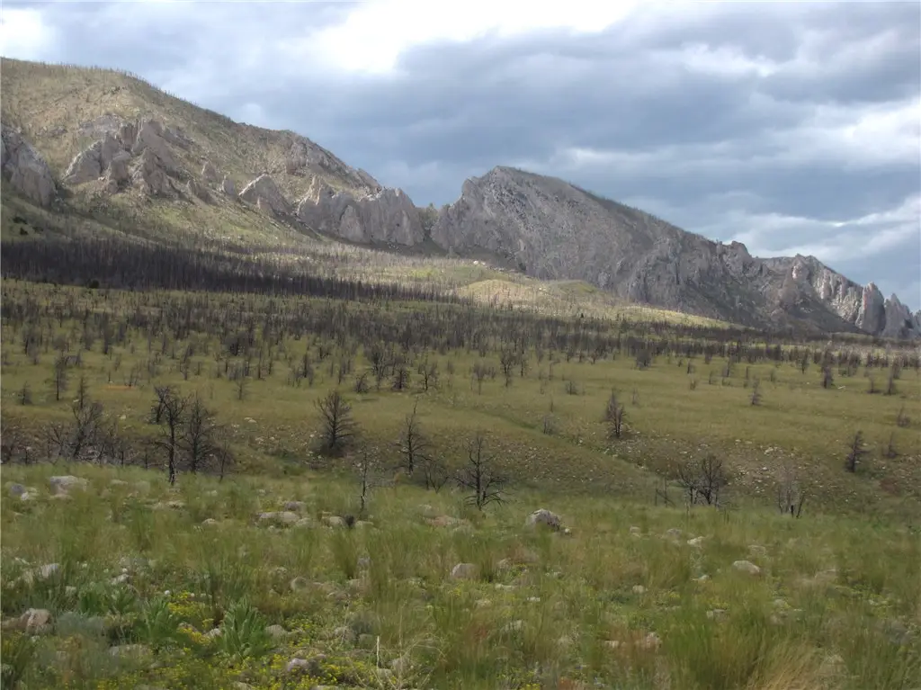 nhn Ranger Way, Belfry, MT 59008 - #1