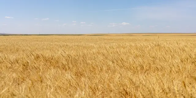 TBD S Road 90, Chester, MT 59530 - #1