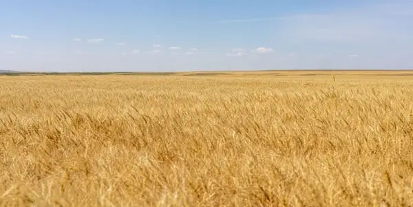TBD S Road 90, Chester, MT 59530