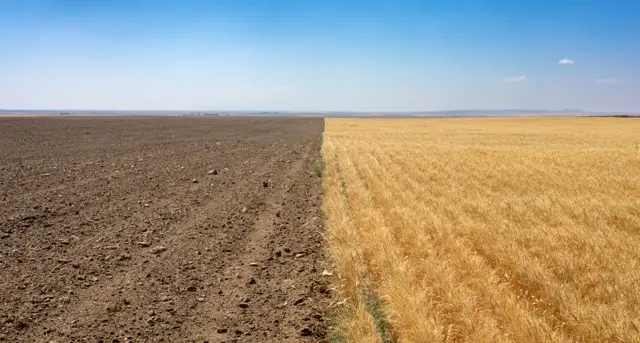 TBD S Road 90, Chester, MT 59530 - #2