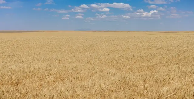 TBD S Road 90, Chester, MT 59530 - #3