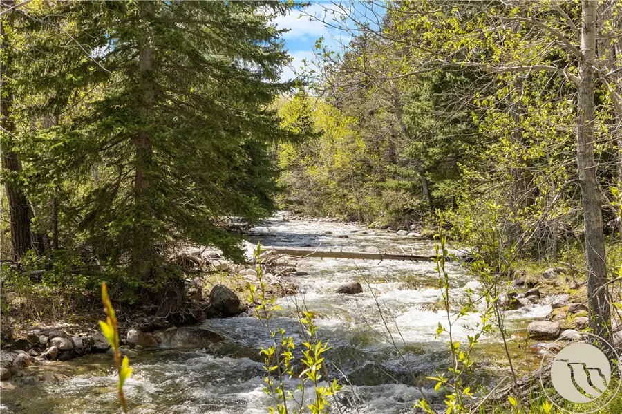 35 Waterworks Road, Red Lodge, MT 59068 - #3