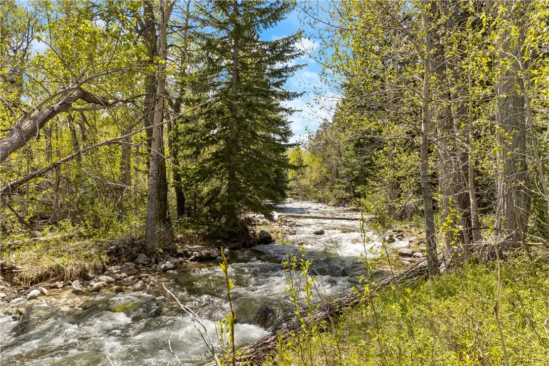 25 Waterworks Road, Red Lodge, MT 59068 - #1