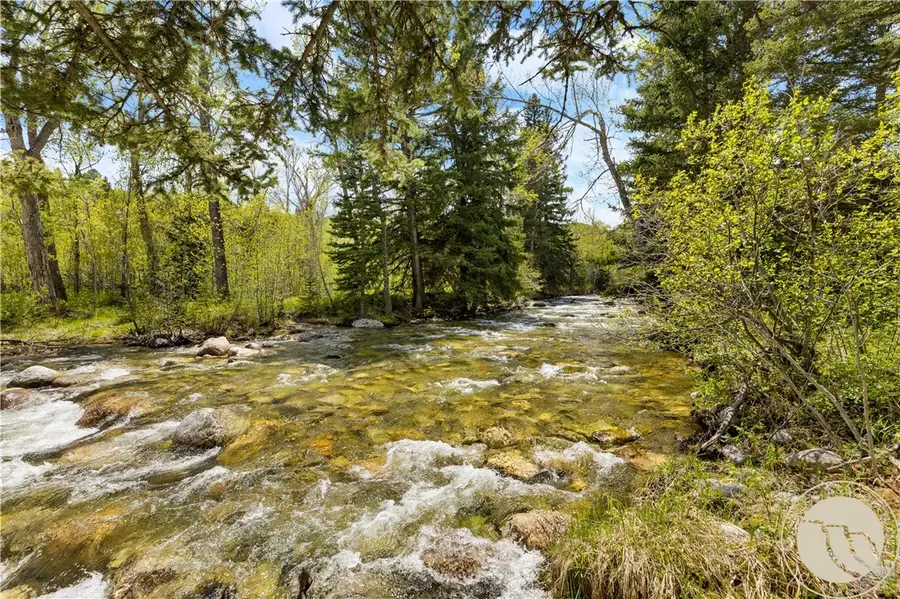 25 Waterworks Road, Red Lodge, MT 59068 - #3