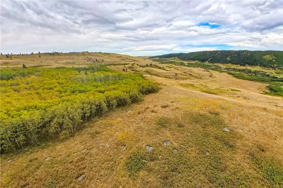 Lot 1 Getaway Trail, Roscoe, MT 59071 - #3