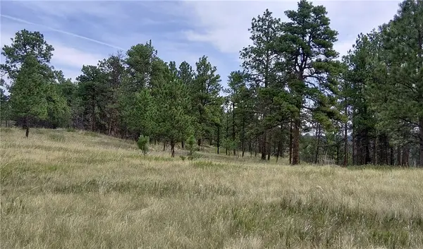 33 Cobie Lane, Roundup, MT 59072