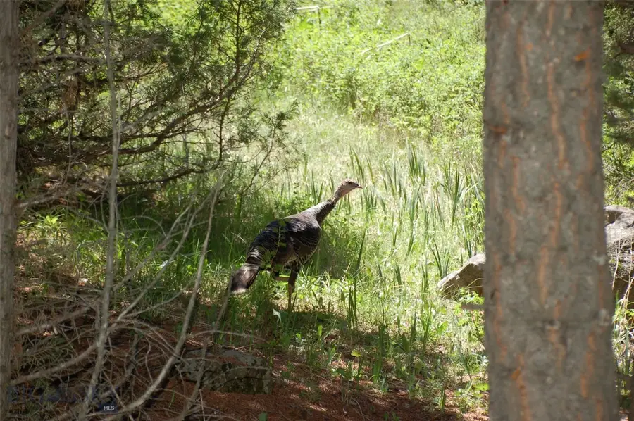 Block 261 Virginia City Original Townsite, Virginia City, MT 59755 - Image #2