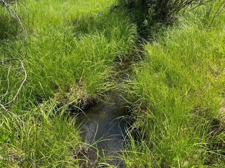 3966 Camp Creek Road, Butte, MT 59701 - Image #3