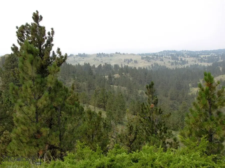 TBD Lone Rock Canyon Lane #SC-25, South Treasure, MT 59076 - Image #2