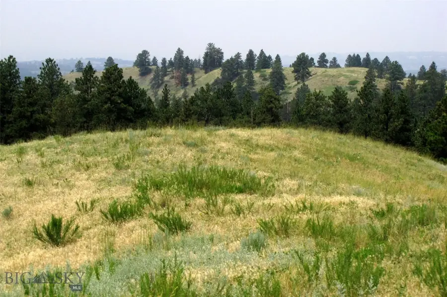 TBD Lone Rock Canyon Lane #SC-25, South Treasure, MT 59076 - Image #3