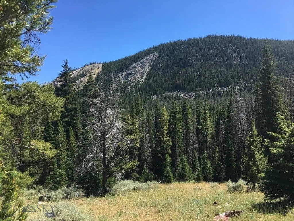 216 Trapper Creek Road, Dillon, MT 59725 - #1