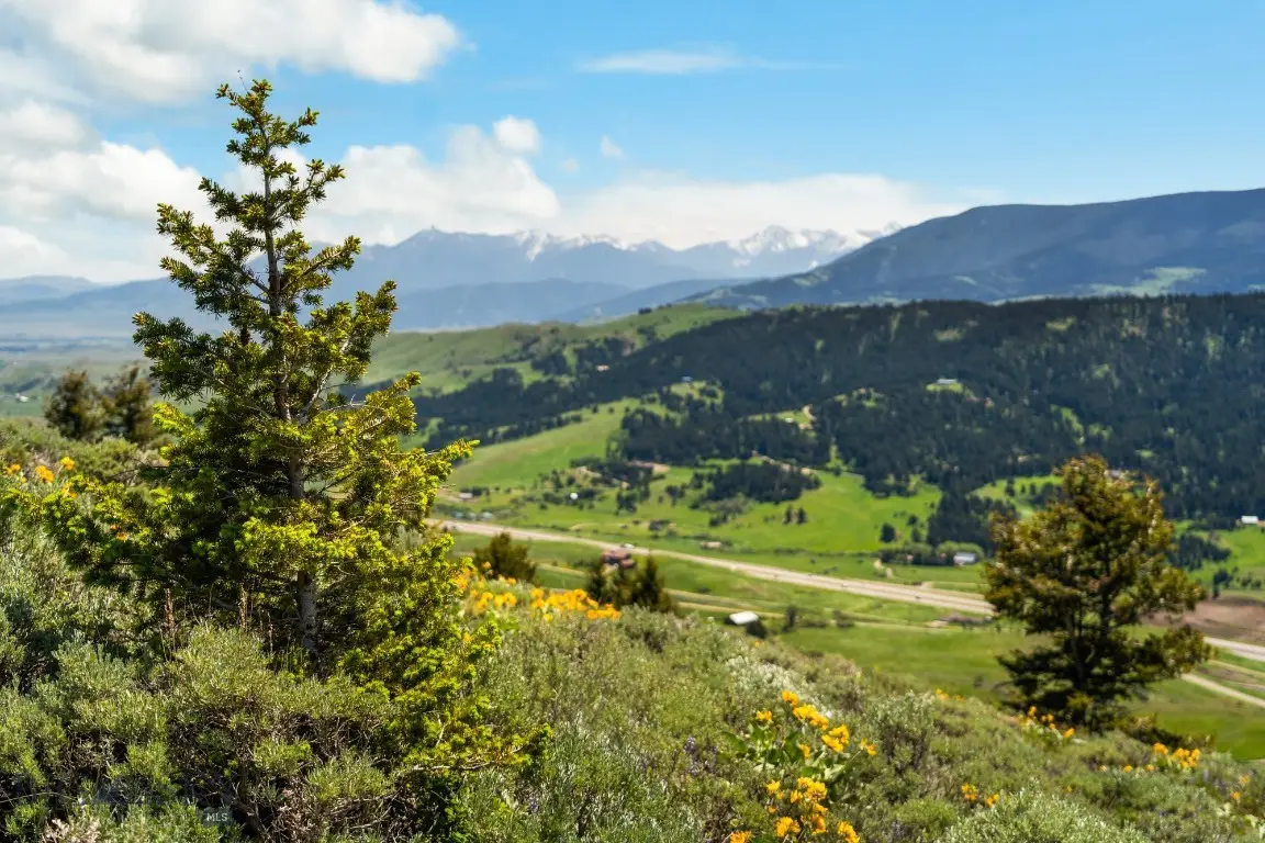 Lot 9 Sunflower Lane, Livingston, MT 59047 - Image #1