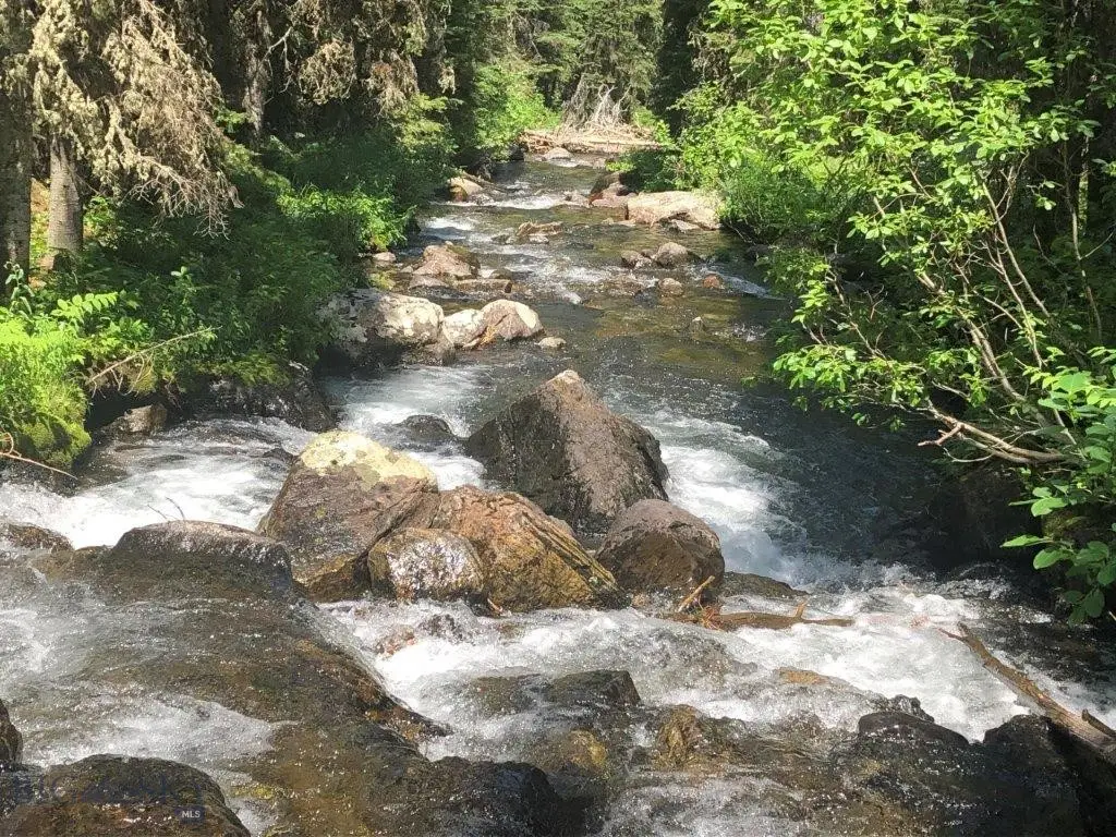 Address Withheld By Seller, Ennis, MT 59729 - Image #1