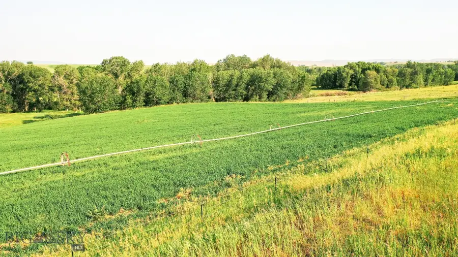 NHN Shields River Road, Wilsall, MT 59086 - #2