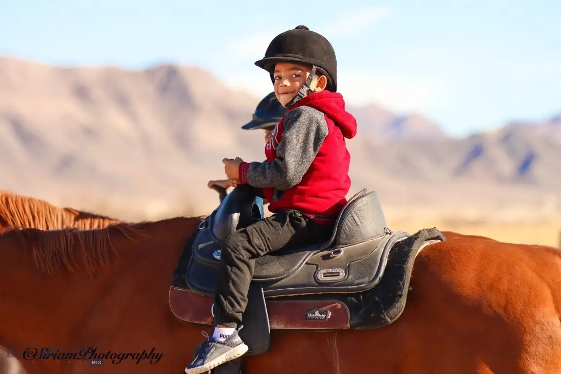 5770 S Peterson Road, Las Vegas, MT 89041 - #1