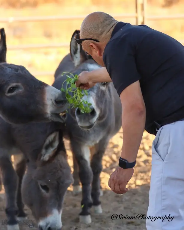 5770 S Peterson Road, Las Vegas, MT 89041 - #2