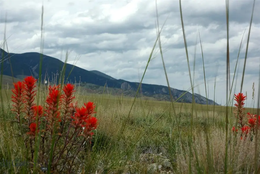 nhn Broken Trail N #944-19, Belfry, MT 59008 - Image #3