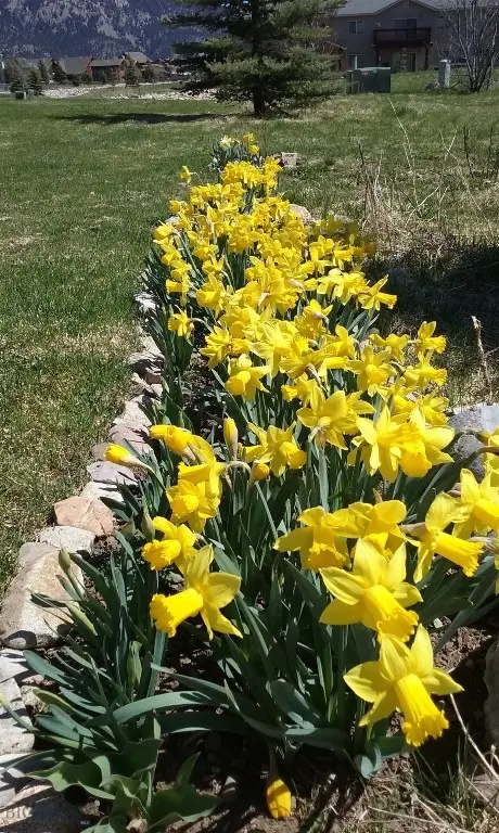 155 Aurora Lights #B2, Big Sky, MT 59716 - Image #1