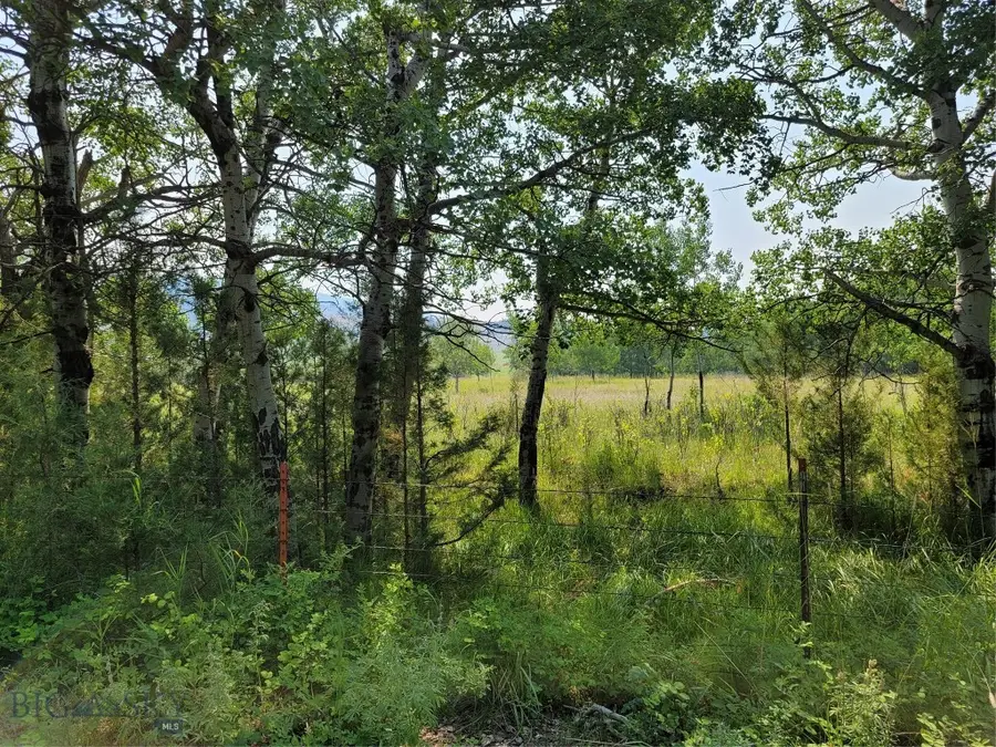 2A School House Meadow, Helmville, MT 59843 - Image #3