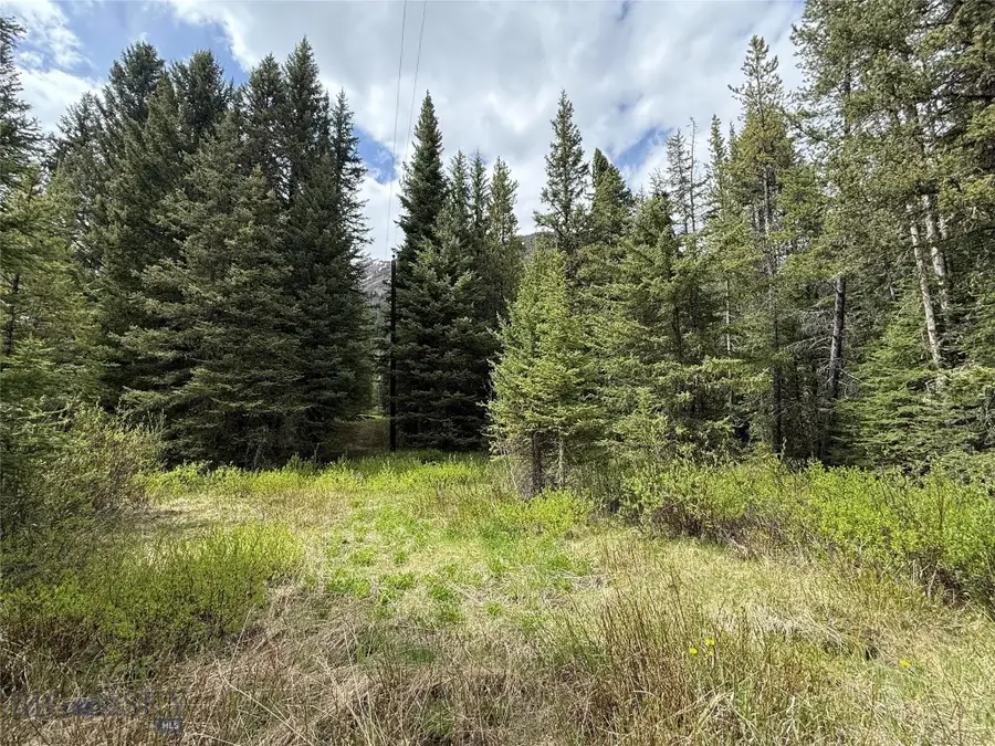 C-10 Basting Tracts, Cooke City, MT 59020 - Image #2