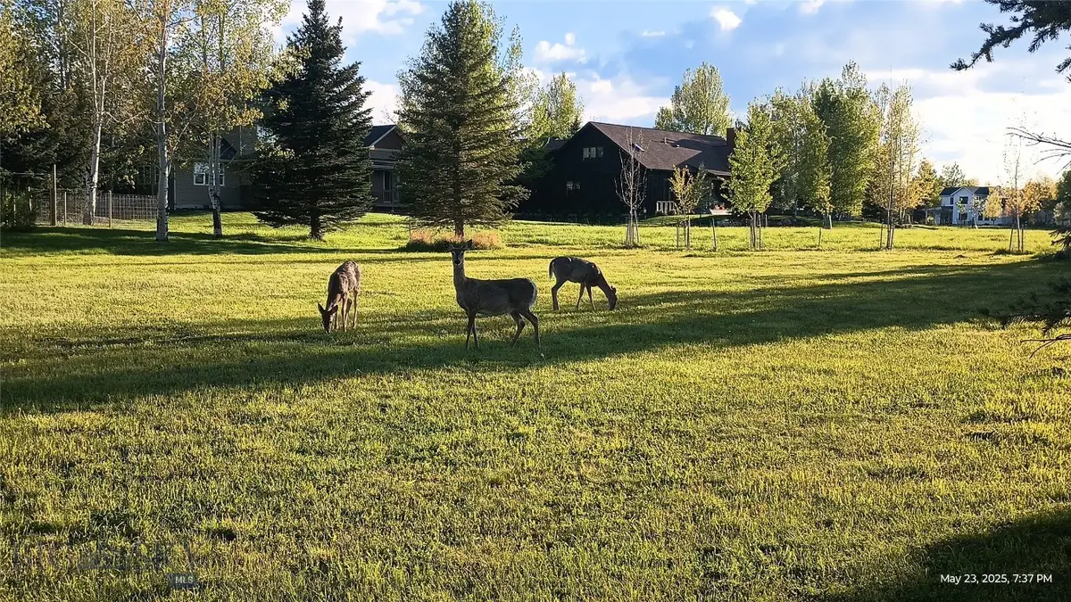 Lot 129 E Graf Street, Bozeman, MT 59715 - #1