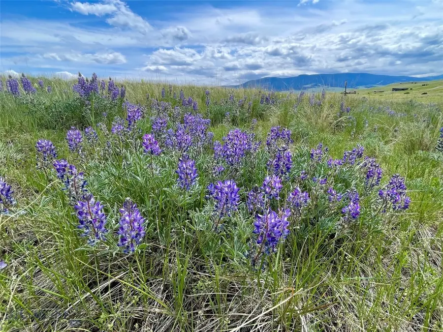 Tract 9C Gateway Drive, Livingston, MT 59047 - Image #2