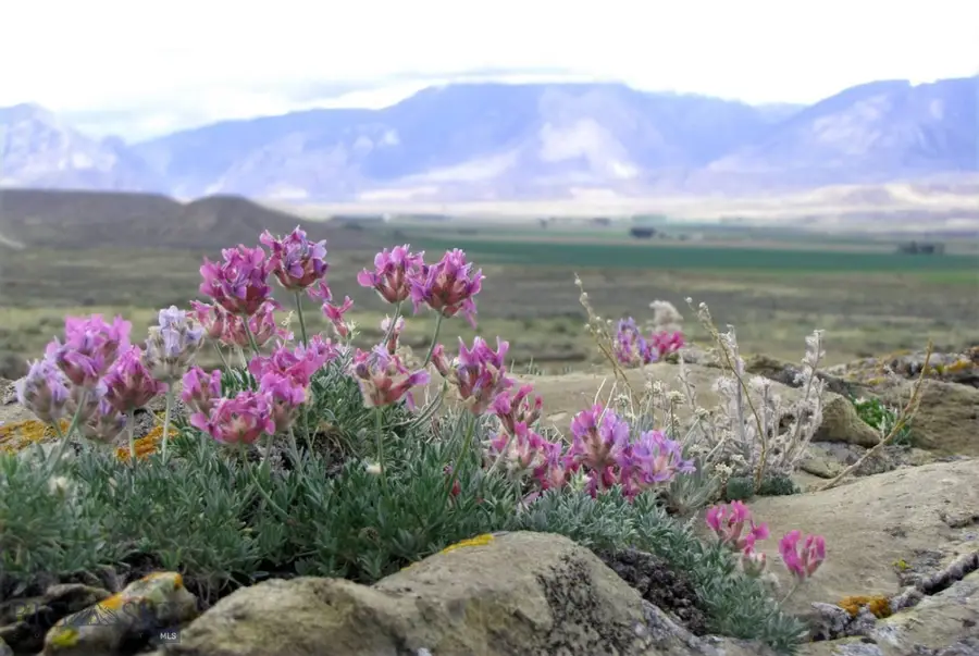 TBD Richland Trail, Clark, Wyoming #80, Clark, WY 82435 - Image #2