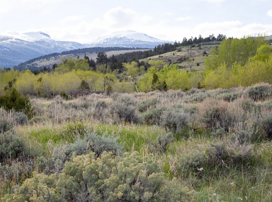 Lot 4 Wey's View, McAllister, MT 59740 - Image #1