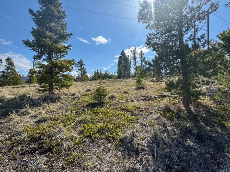 16 Mule Deer Lane, Anaconda, MT 59711 - #3