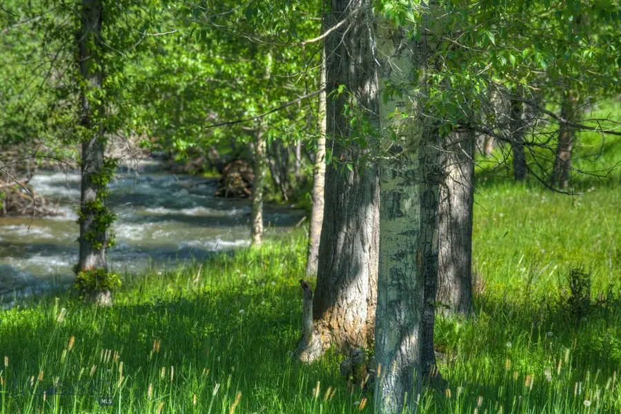 13830 (Lot A) Cottonwood Road, Bozeman, MT 59718 - #2