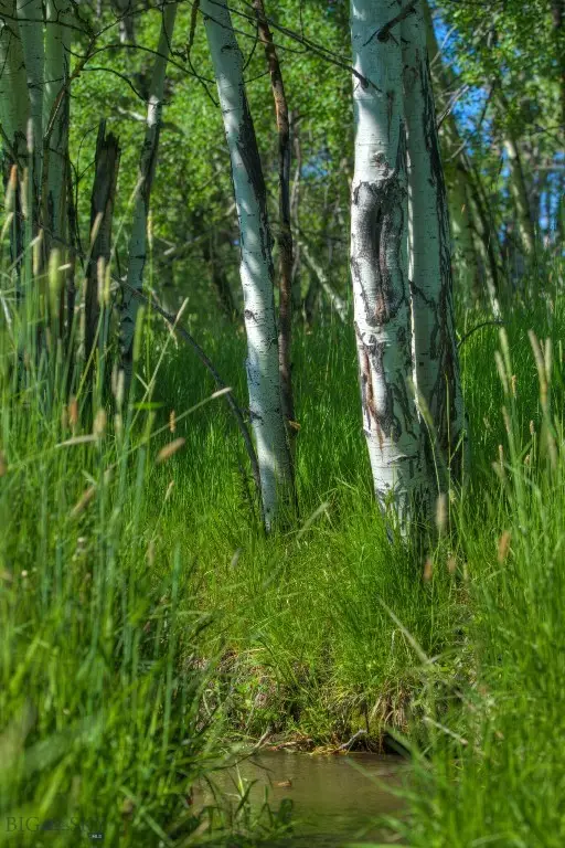 13830 (Tract B) Cottonwood Road, Bozeman, MT 59718 - #3