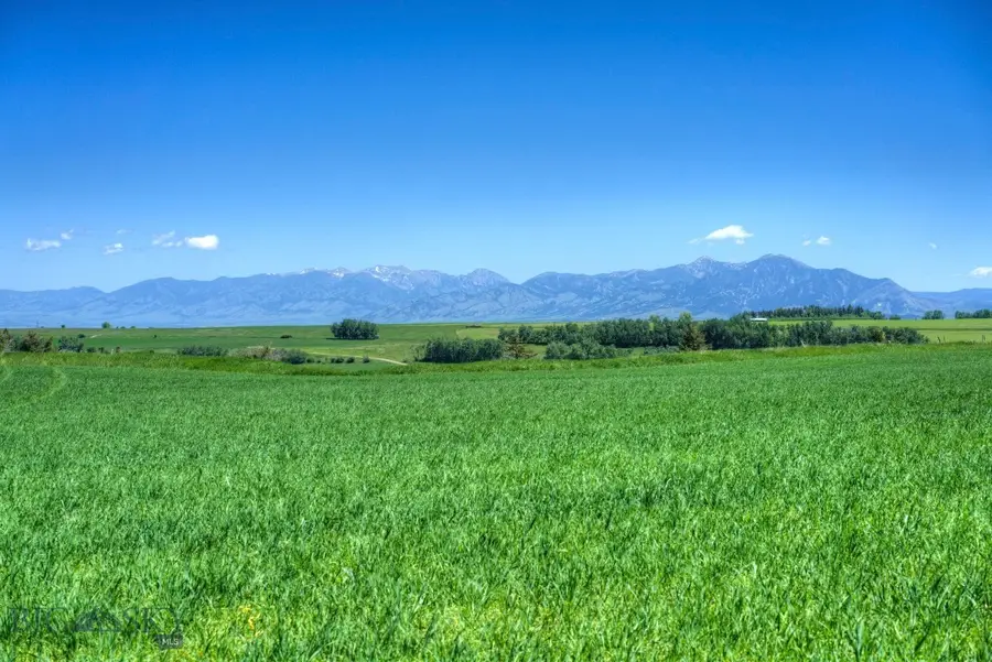 13830 (Tract D) Cottonwood Road, Bozeman, MT 59718 - #2