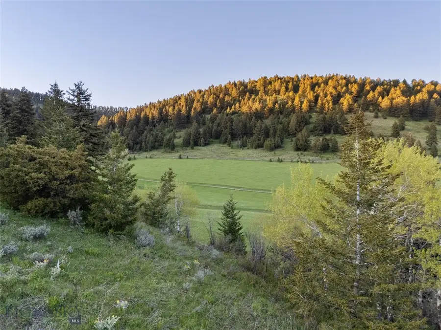 373 Rockhill Road, Bozeman, MT 59715 - #2