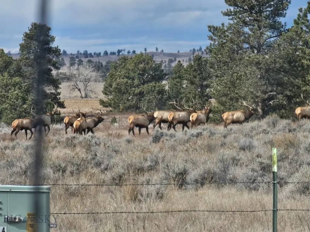 TBD 147a, Hardin, MT 59024 - Image #1