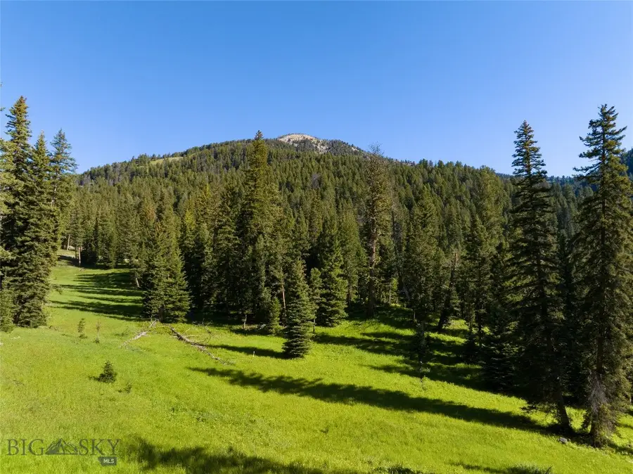 TBD Upper Chief Joseph Trail, Big Sky, MT 59716 - Image #3