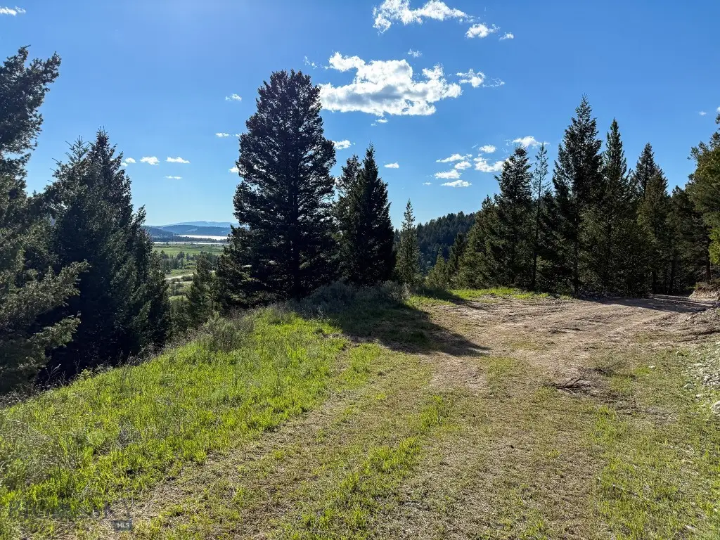TBD (5.4+/- acres) Gold Coin Lane, Anaconda, MT 59711 - Image #1