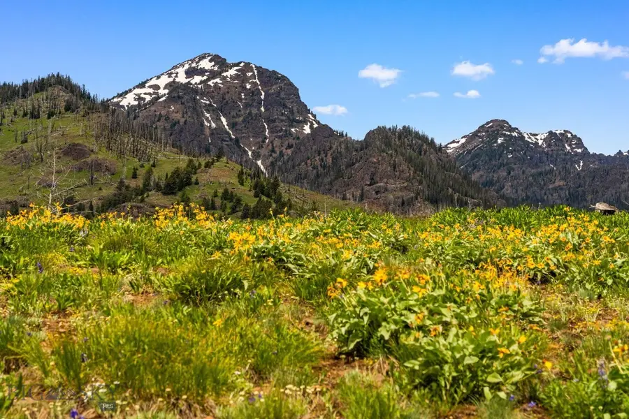 NHN Peak Point Drive #Lot 1, Livingston, MT 59047 - Image #2