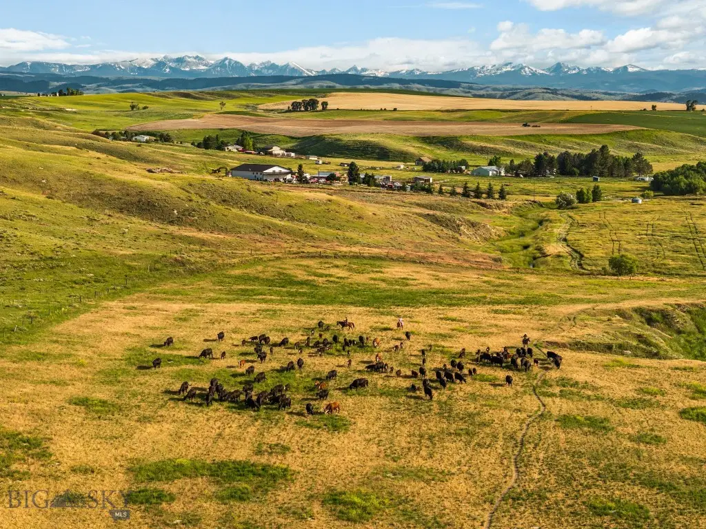 TBD Camp Creek Road, Manhattan, MT 59741 - Image #1