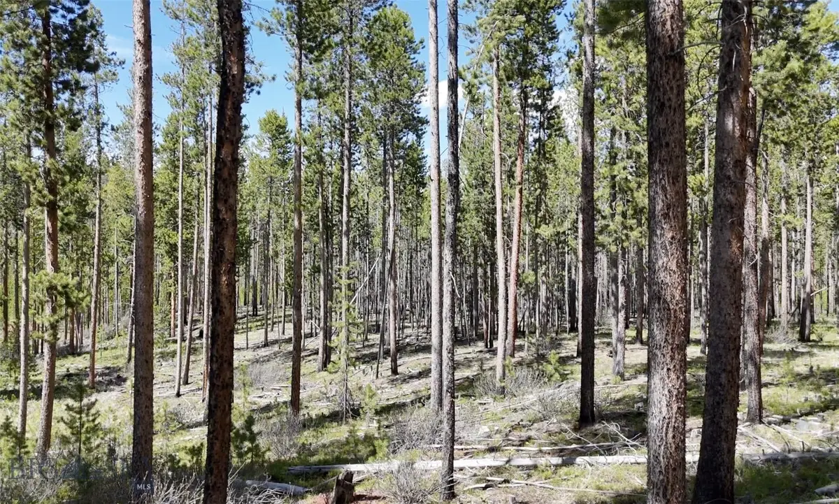 TBD Harris Road, Anaconda, MT 59711 - Image #1