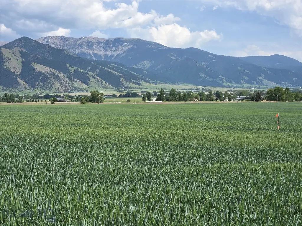 Lot 3 Penwell Bridge Road, Belgrade, MT 59714 - #1