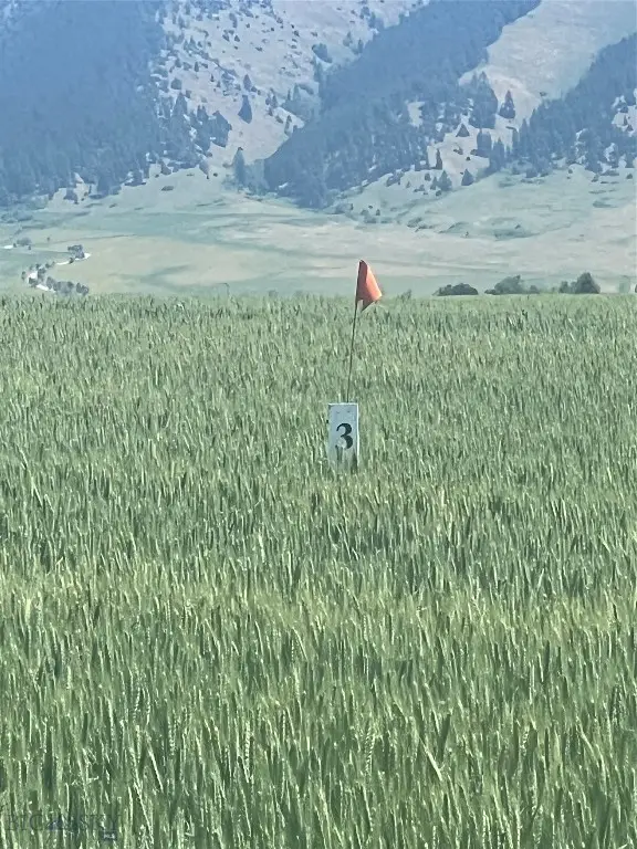 Lot 3 Penwell Bridge Road, Belgrade, MT 59714 - #3