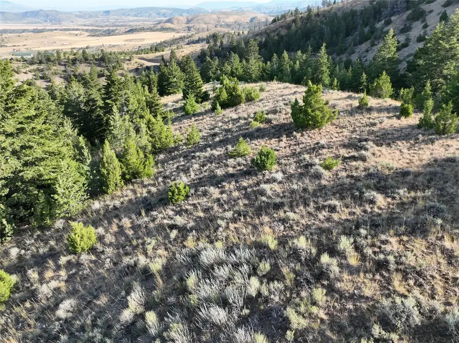 TBD Lone Wolf Trail, Ponderosa Pines, MT 59752 - Image #2